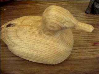 Test Image 1