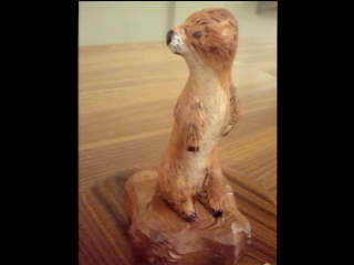 Test Image 1